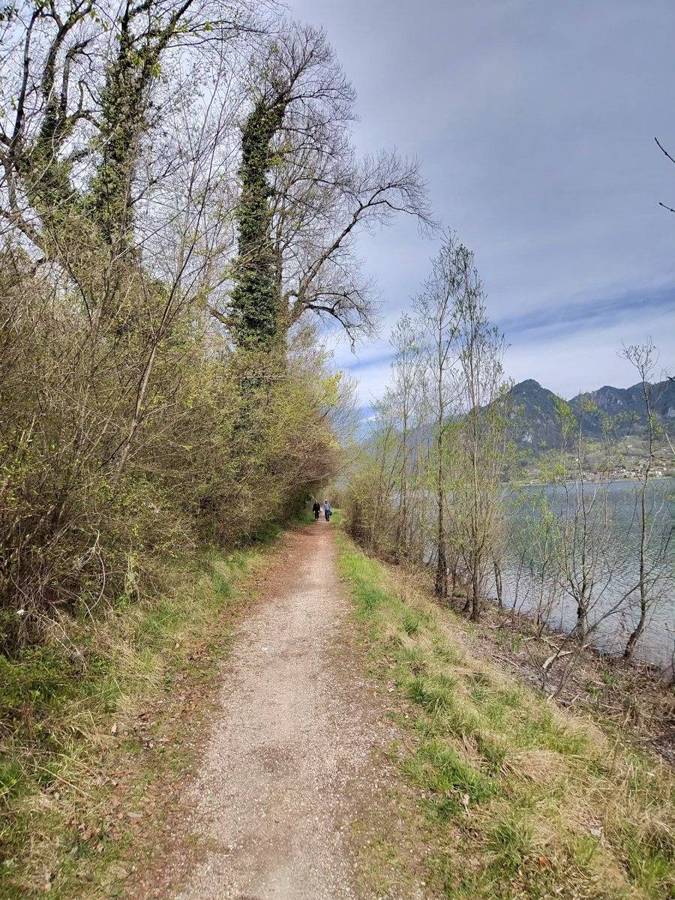 The bike path through the trees along Lake Idro's shore