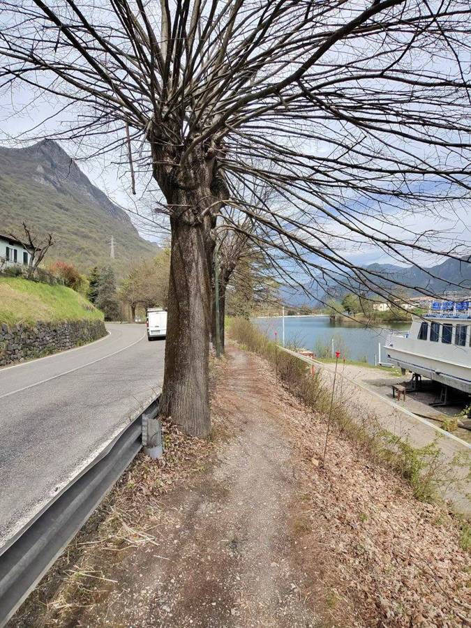 Narrow section of the bike path near the road